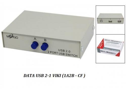 DATA USB 2-1 VIKI (1A2B - CF)